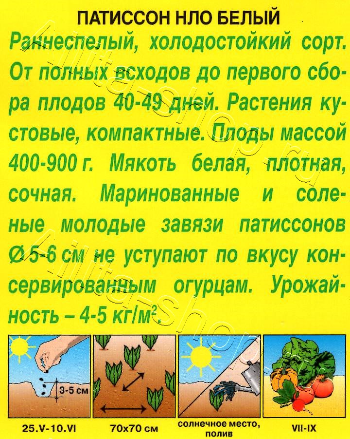 Патиссон НЛО белый 1г