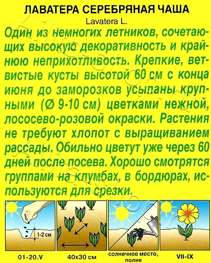 Лаватера Серебряная чаша 0,3г