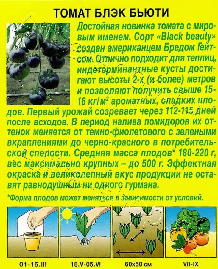 Томат Блэк бьюти 20шт