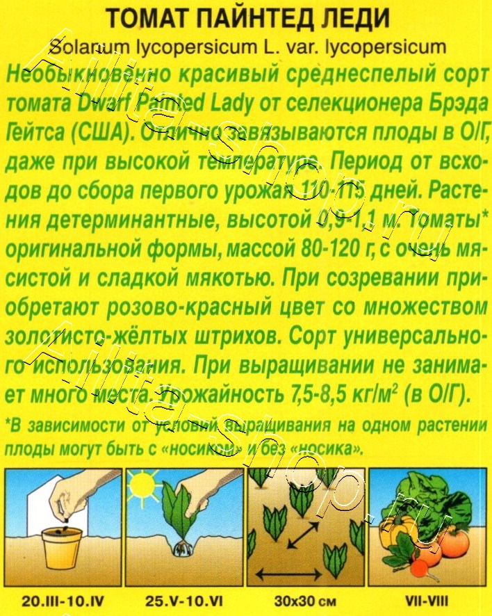 Томат Пайнтед леди 20шт