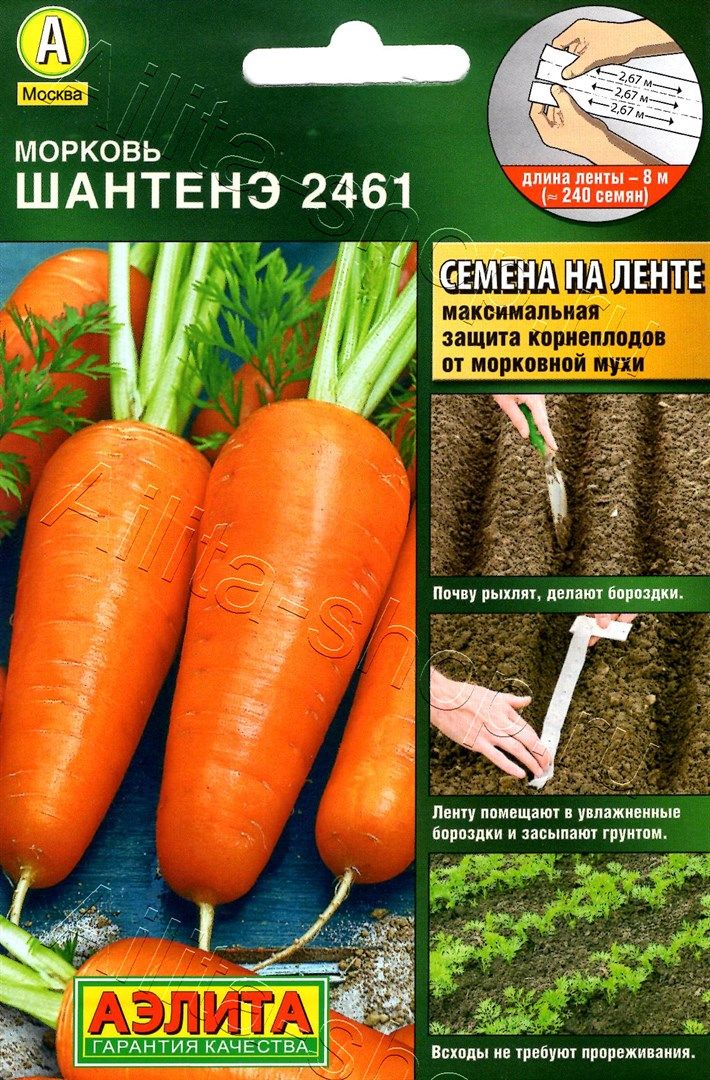 Морковь Шантенэ 2461 на ленте 8м