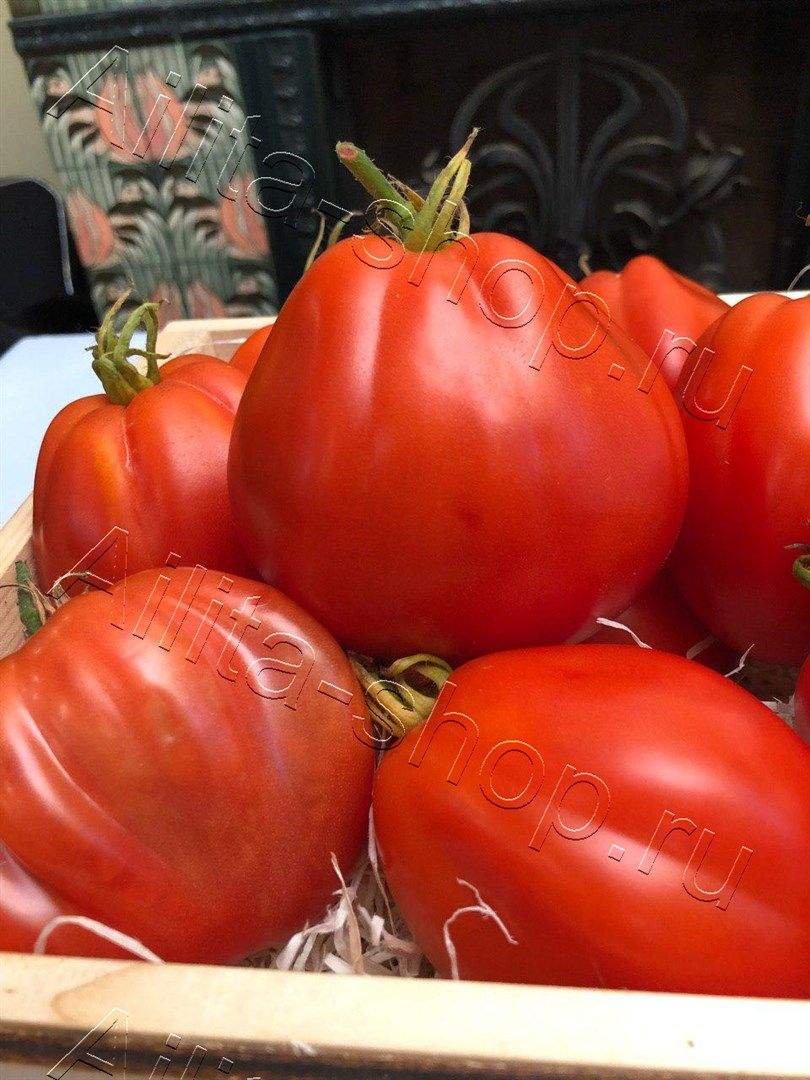 Томат Коразон F1 7шт