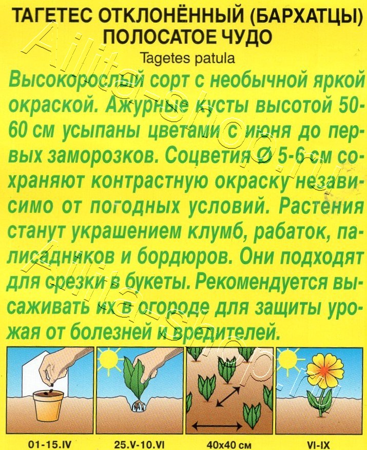 Бархатцы Полосатое чудо отклоненные 0,1г