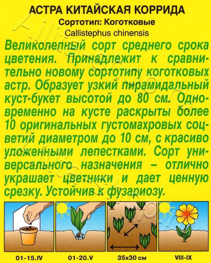 Астра Коррида коготковая 0,2г