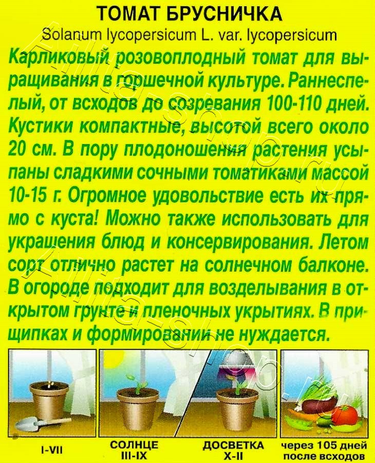 Томат Брусничка 10шт