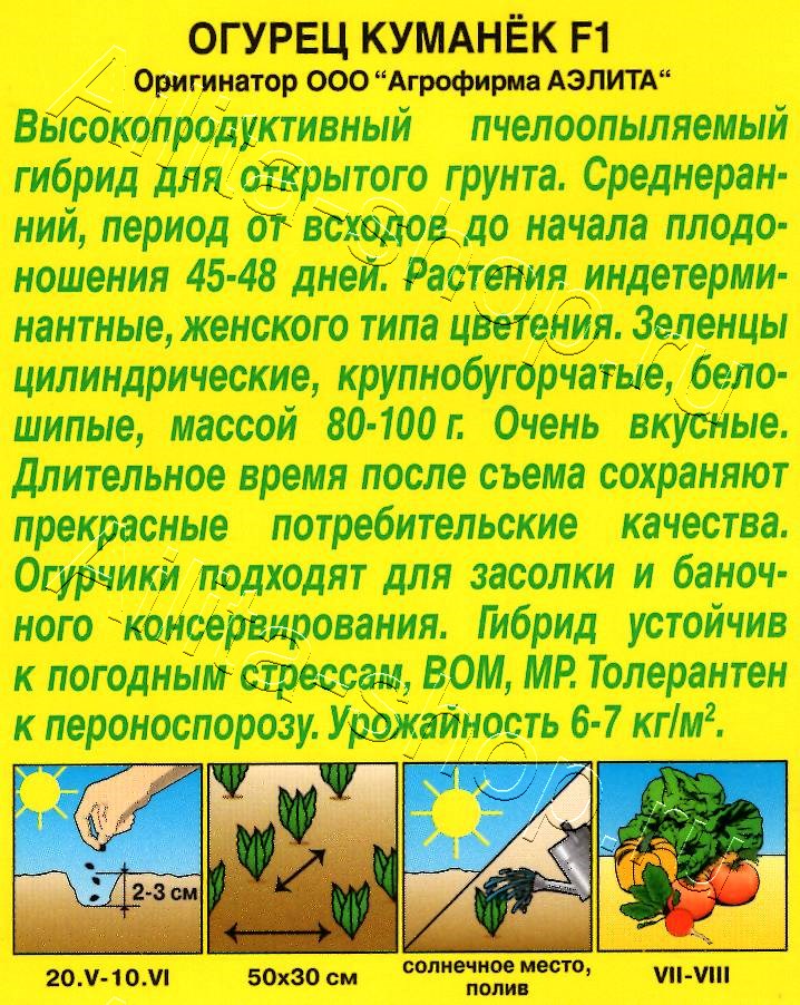 Огурец Куманек F1 10шт