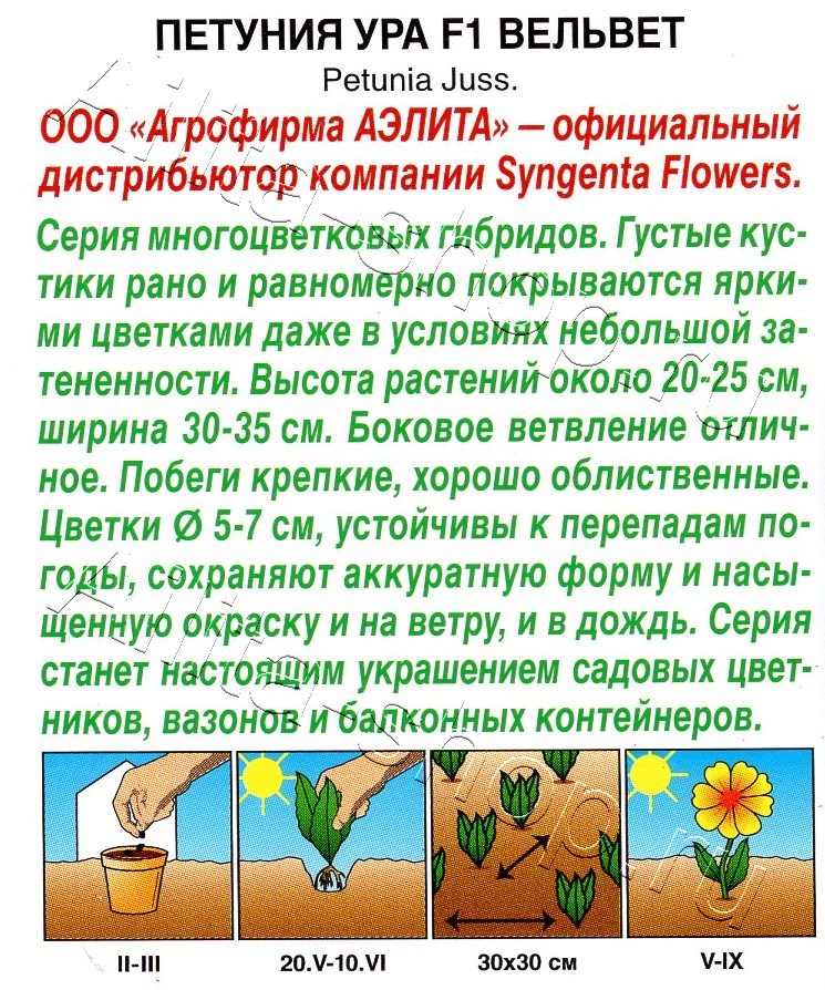 Петуния Ура F1 вельвет 7шт