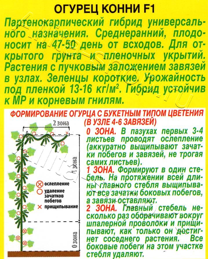Огурец Конни F1 10шт
