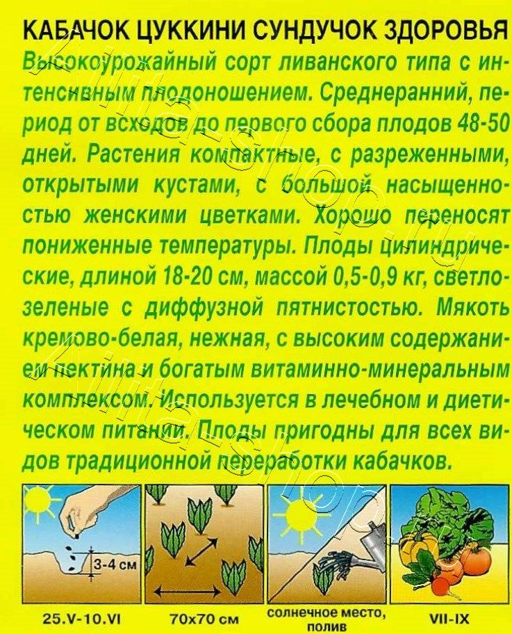 Кабачок цуккини Сундучок здоровья 1г