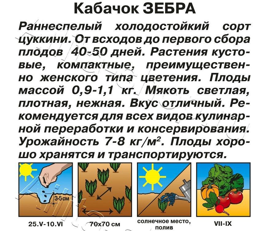 Кабачок цуккини Зебра 2г