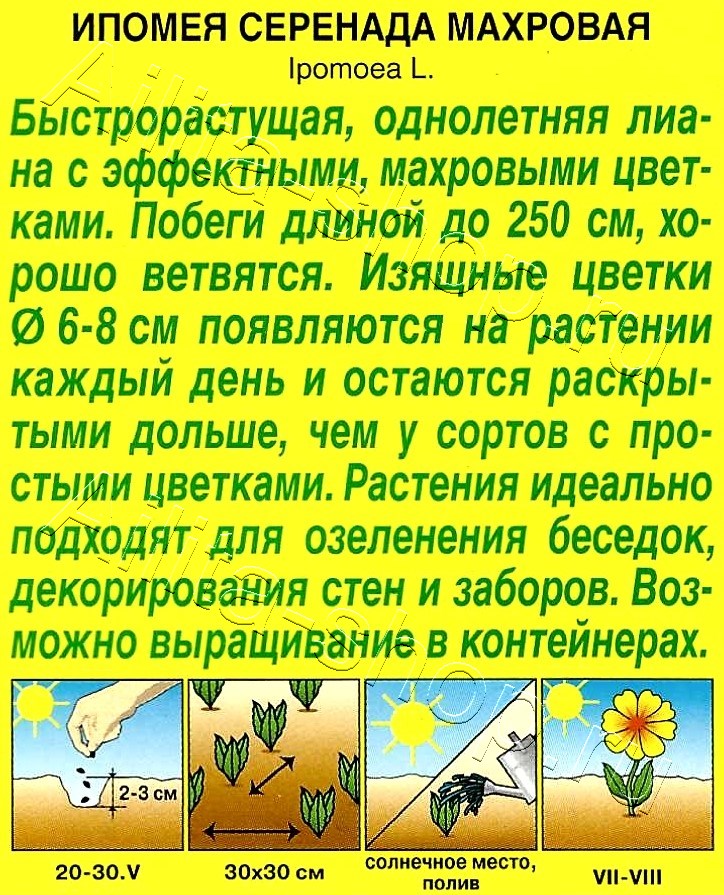 Ипомея Серенада махровая 0,21г