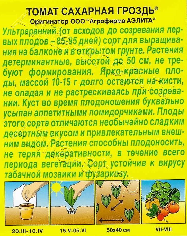 Томат Сахарная гроздь 20шт