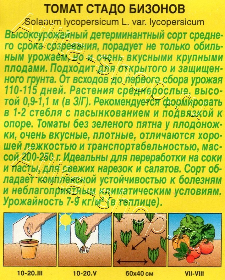 Томат Стадо бизонов 20шт