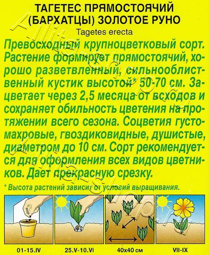 Бархатцы Золотое руно прямостоячие 0,1г