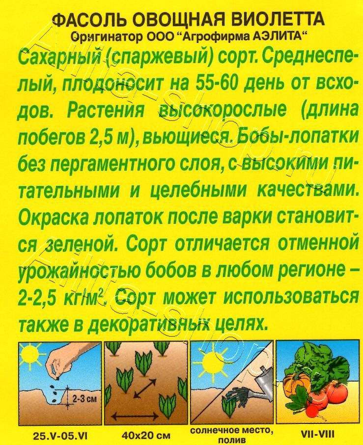 Фасоль овощная Виолетта 5г