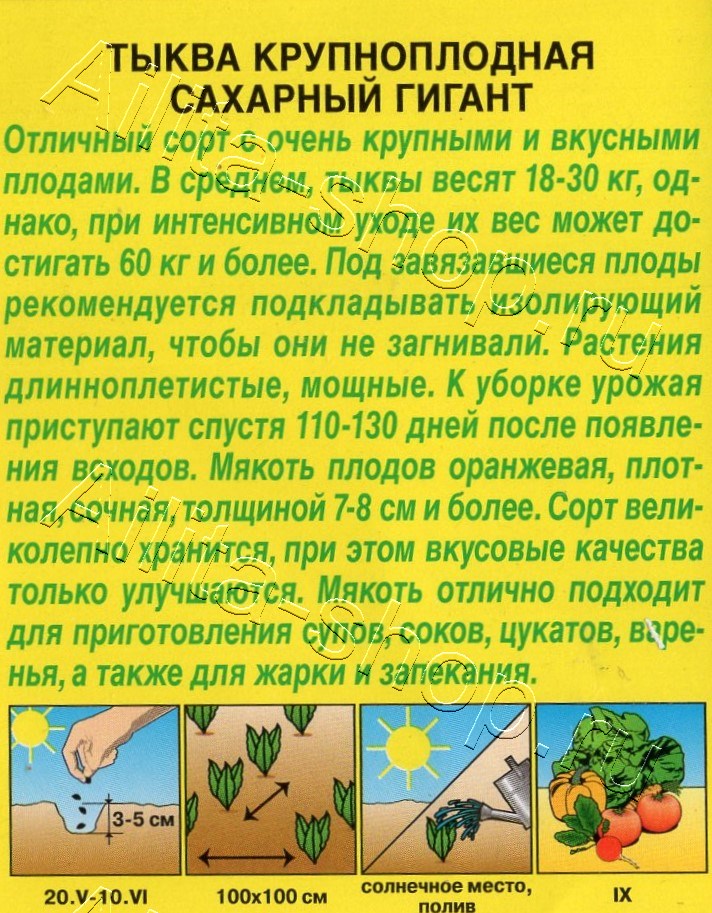 Тыква крупноплодная Сахарный гигант 1г