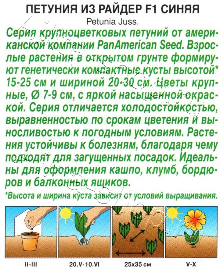 Петуния Из райдер F1 синяя 7шт