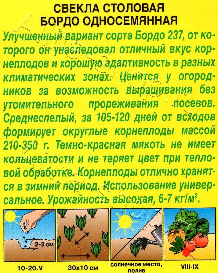 Свекла столовая Бордо односемянная 3г