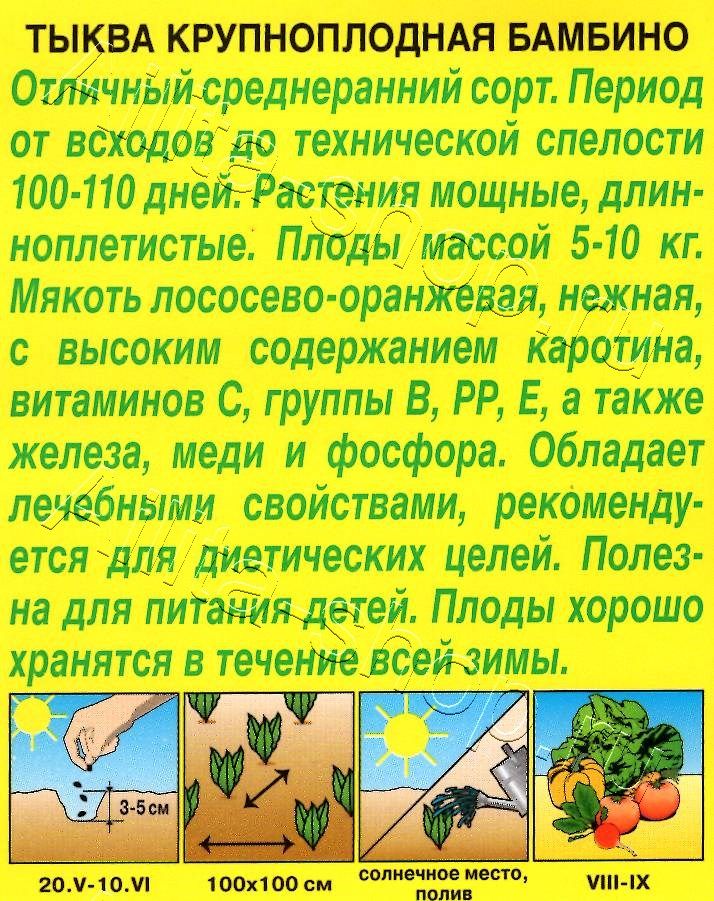 Тыква крупноплодная Бамбино 1г