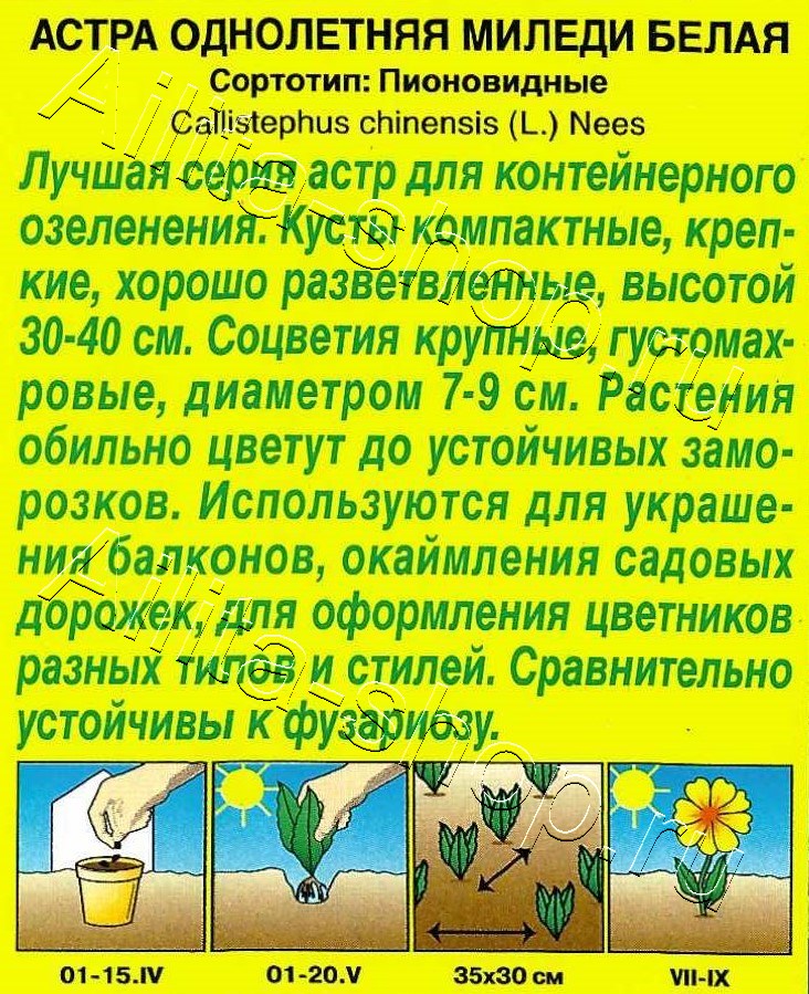 Астра Миледи белая 0,2г