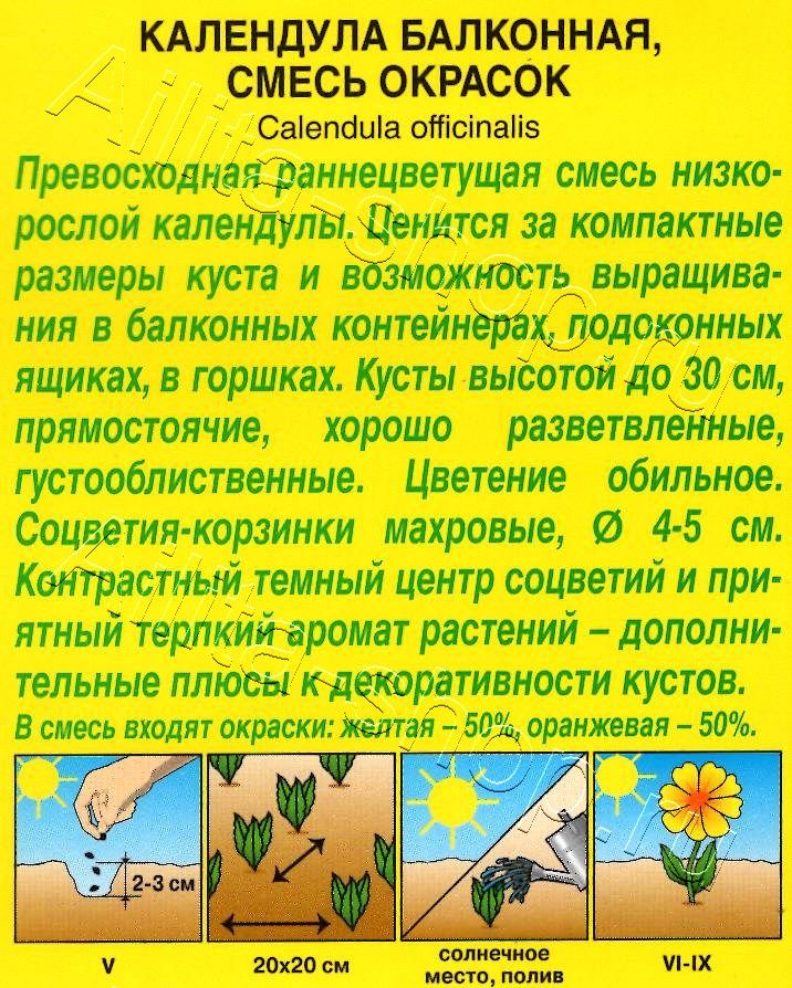 Календула балконная, смесь окрасок 0,5г