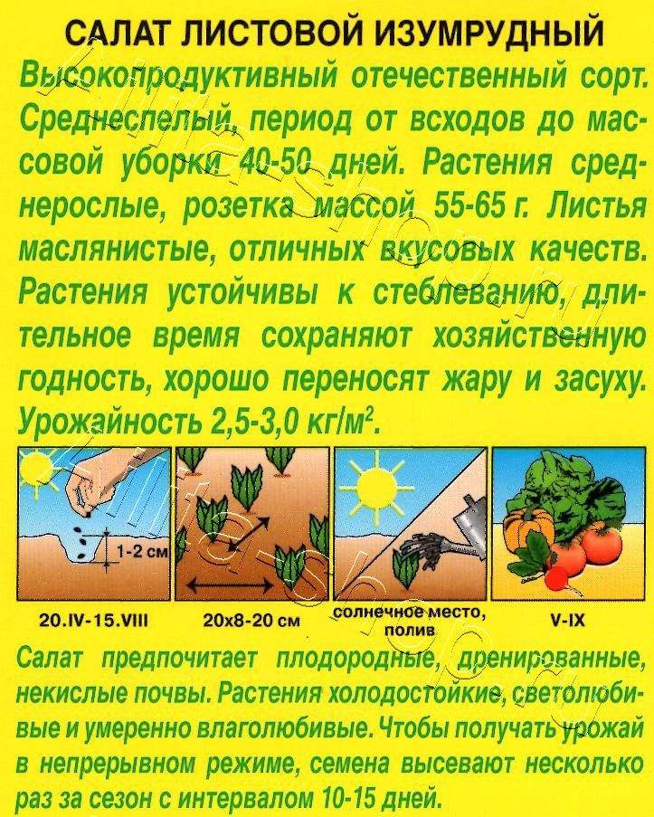 Салат Изумрудный листовой 0,5г