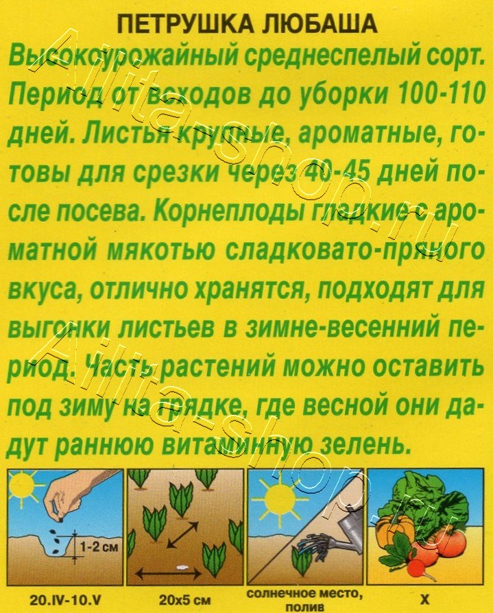 Петрушка корневая Любаша 2г