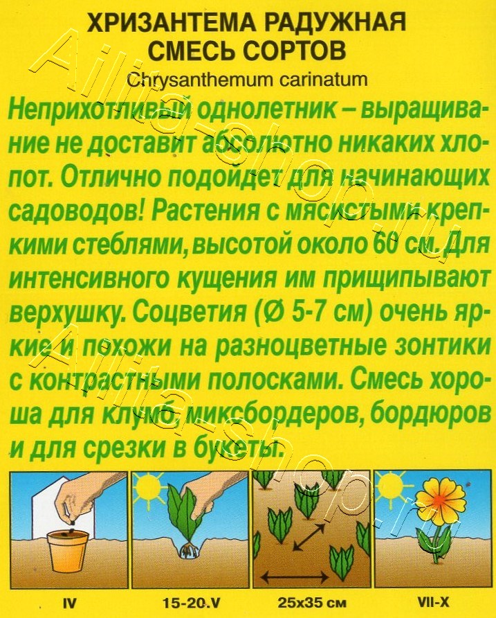 Хризантема Радужная, смесь сортов 0,1г