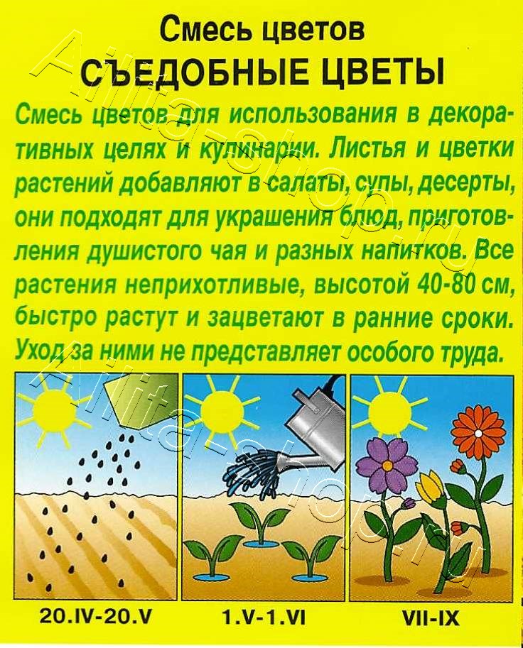 Смесь Съедобные цветы 2г