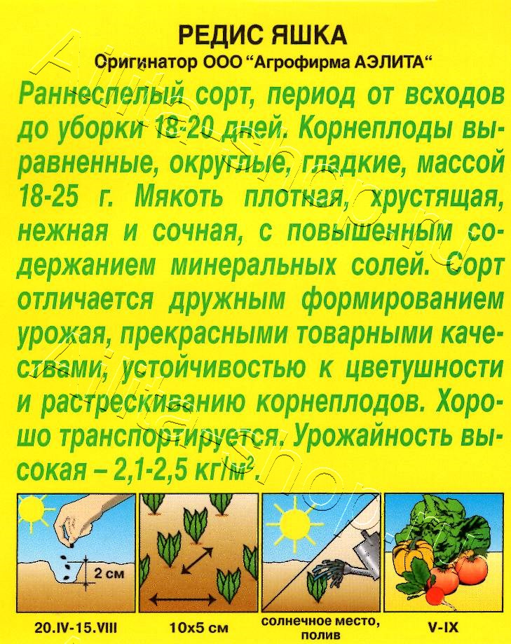 Редис Яшка 2г