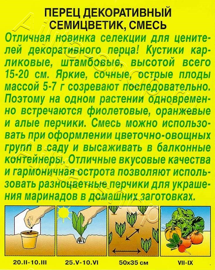 Перец декоративный Семицветик, смесь 10шт