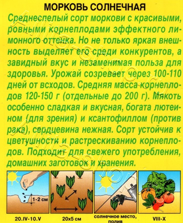 Морковь Солнечная 1г