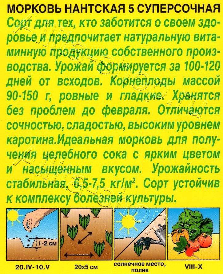 Морковь Нантская 5 суперсочная 2г