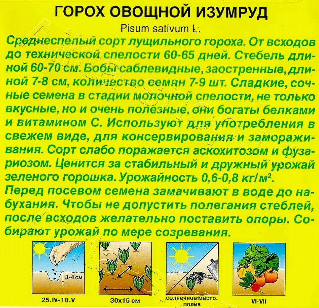 Горох овощной Изумруд 25г