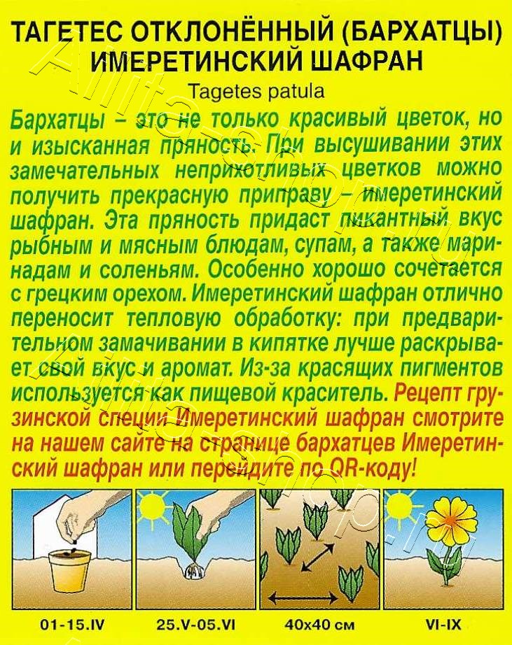 Бархатцы Имеретинский шафран отклоненные 0,2г