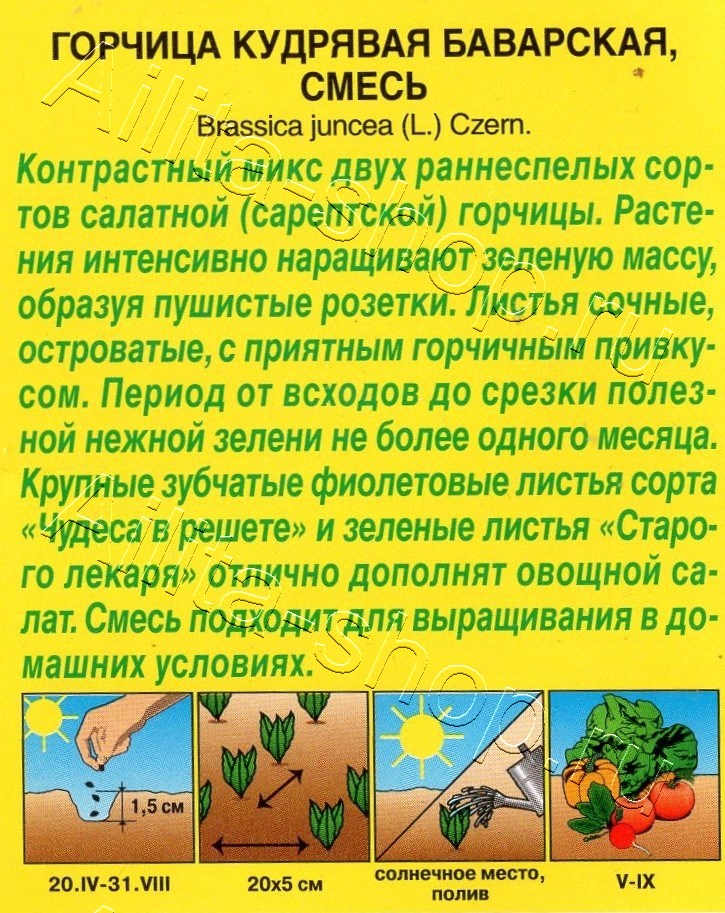 Горчица кудрявая Баварская, смесь 0,5г