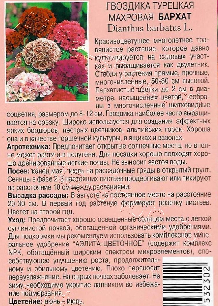 Гвоздика турецкая Бархат 0,3г