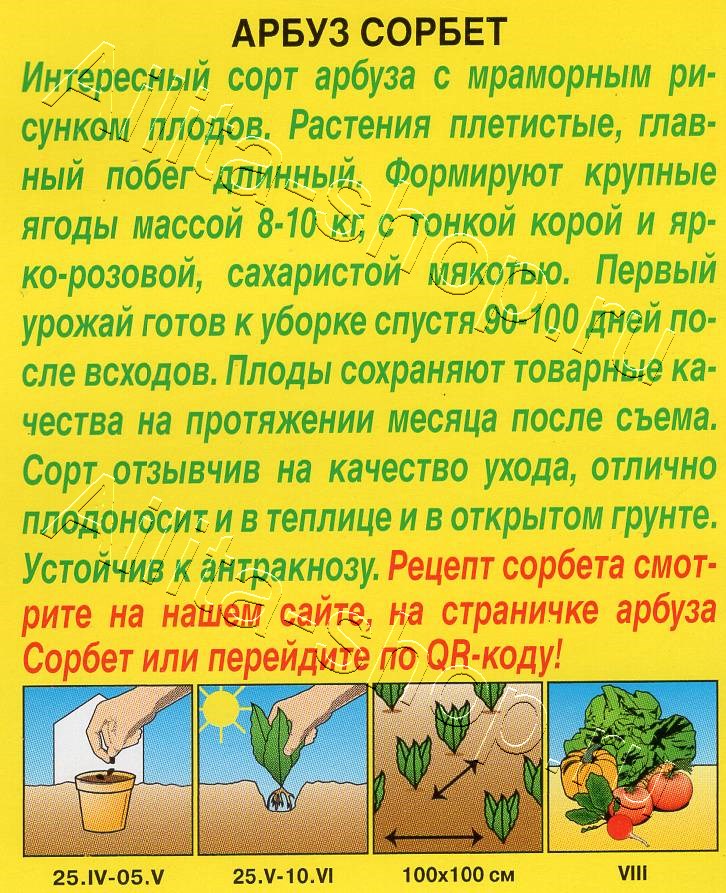 Арбуз Сорбет 1г