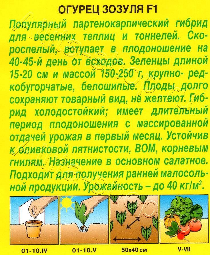 Огурец Зозуля F1 10шт