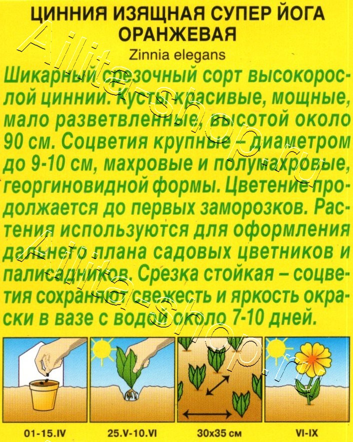 Цинния Супер йога оранжевая 0,3г