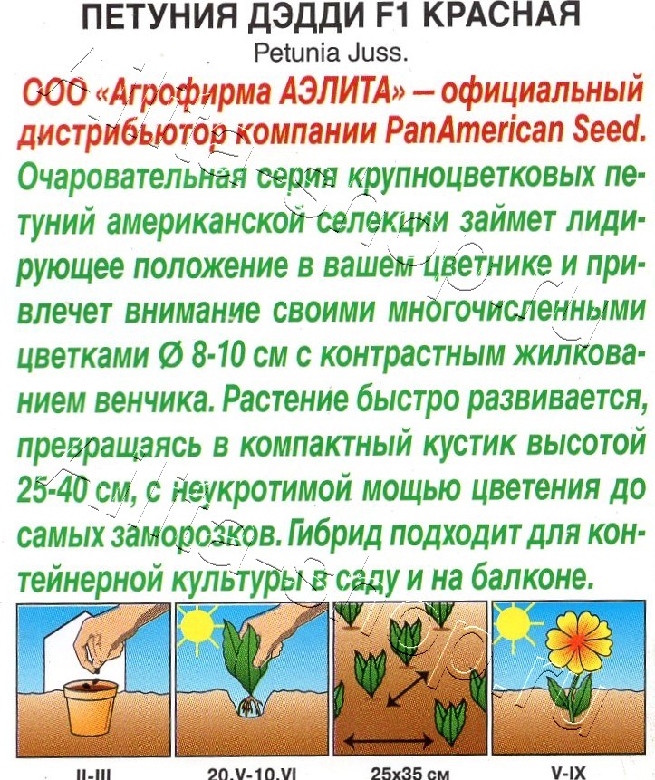 Петуния Дэдди F1 красная 7шт