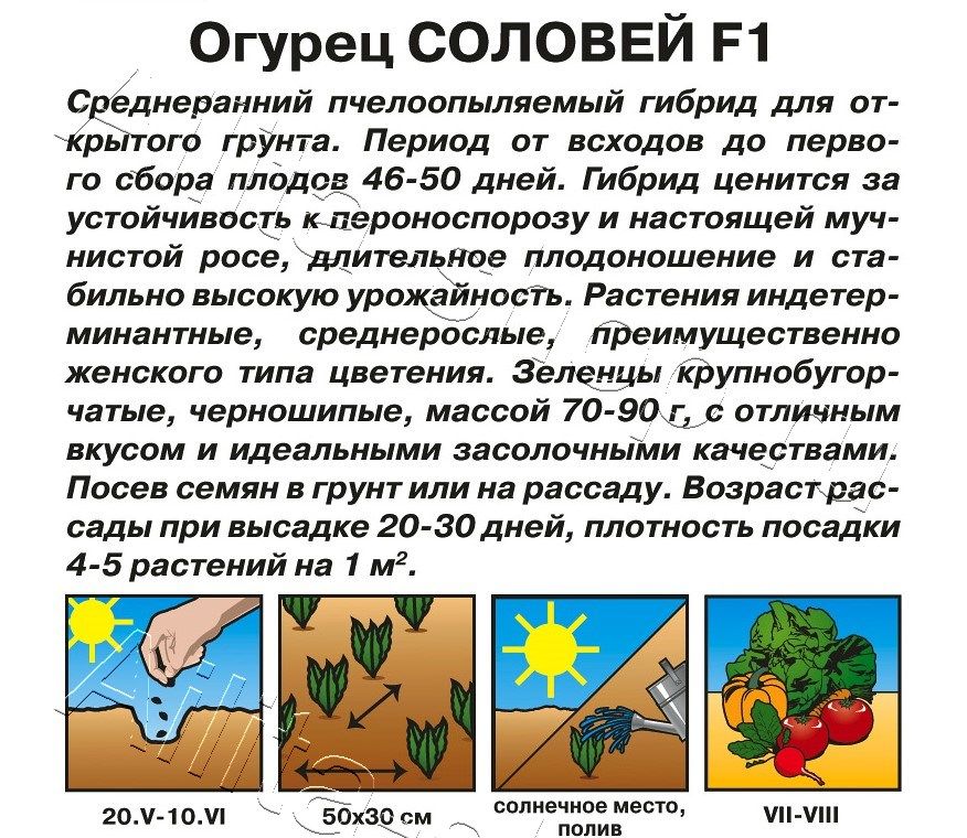 Огурец Соловей F1 0,3г