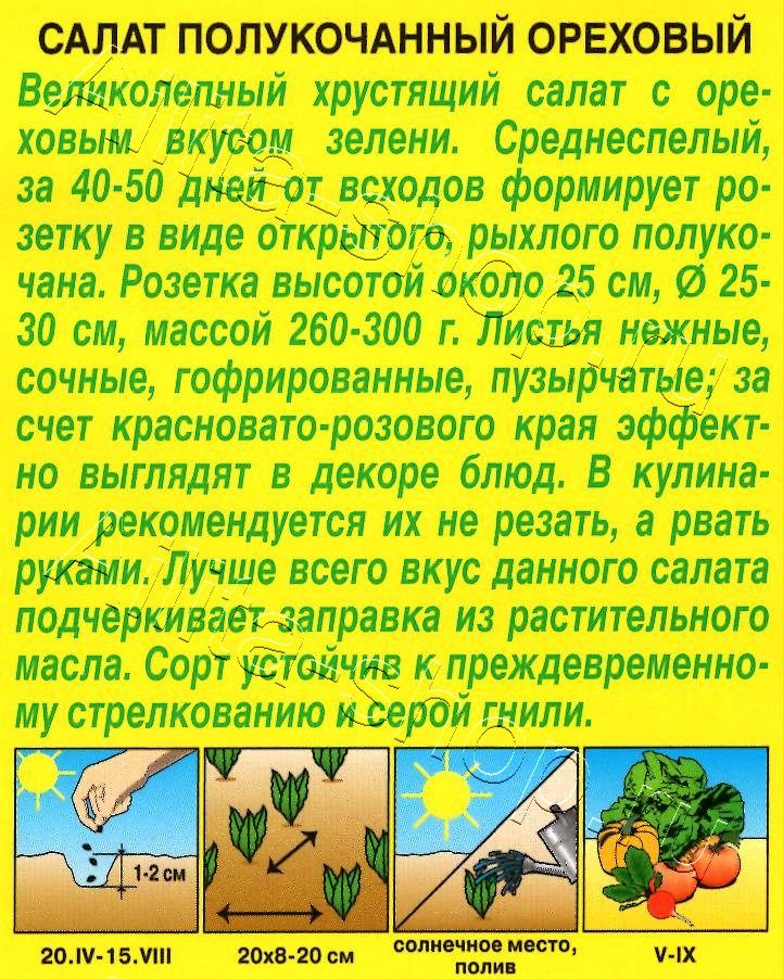 Салат Ореховый полукочанный 0,5г