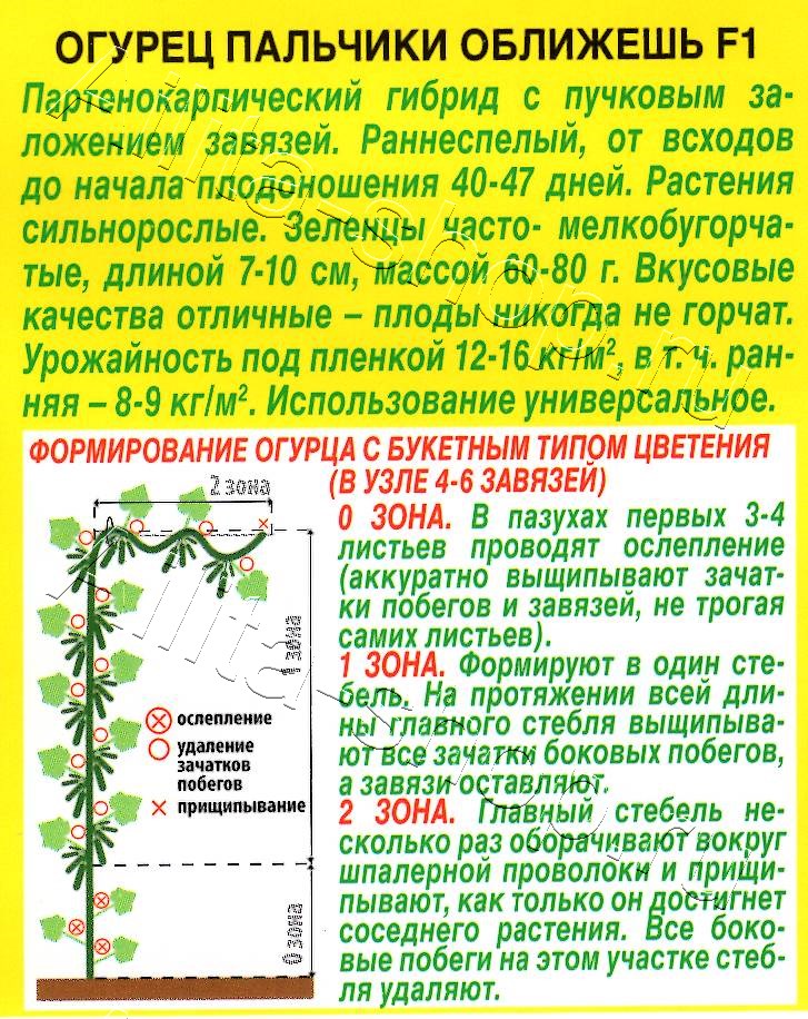 Огурец Пальчики оближешь F1 10шт