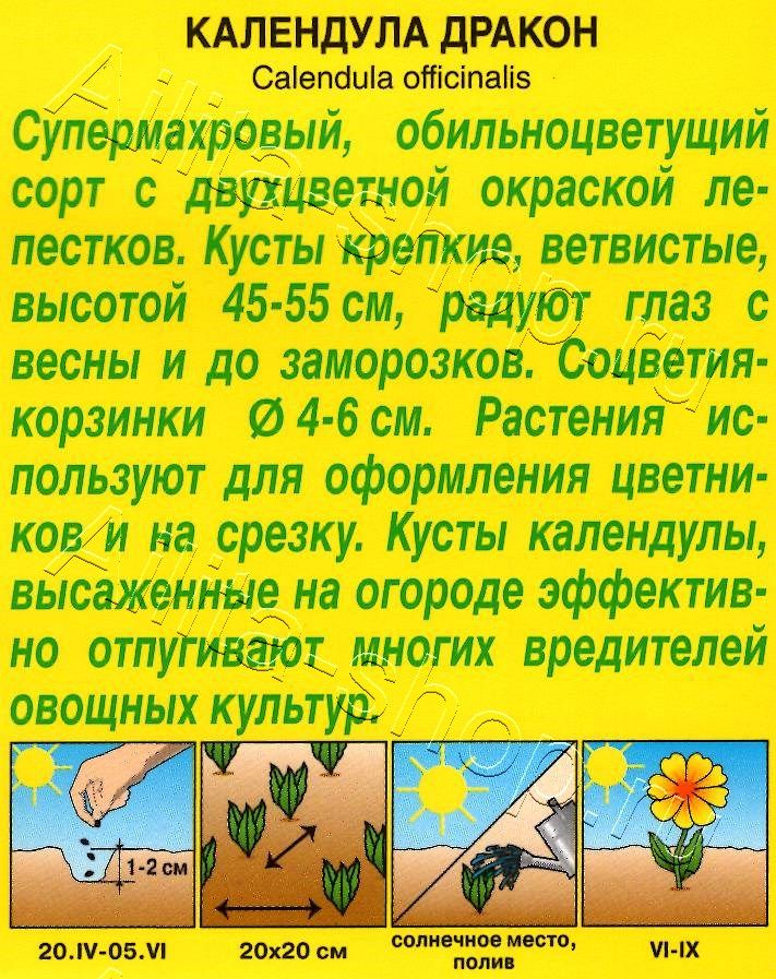 Календула Дракон 0,1г