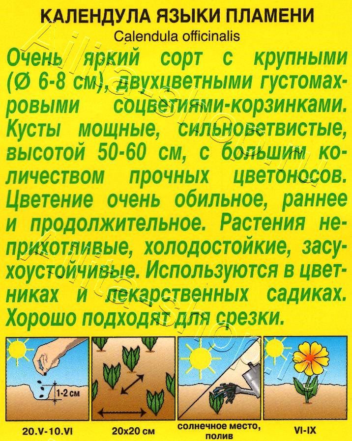 Календула Языки пламени 0,5г