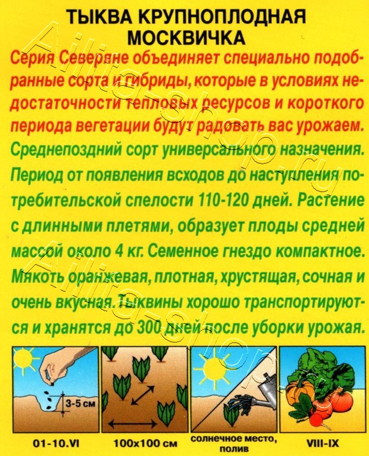 Тыква крупноплодная Москвичка 1г