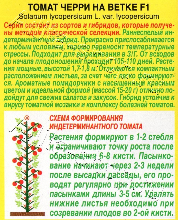 Томат Черри на ветке F1 10шт