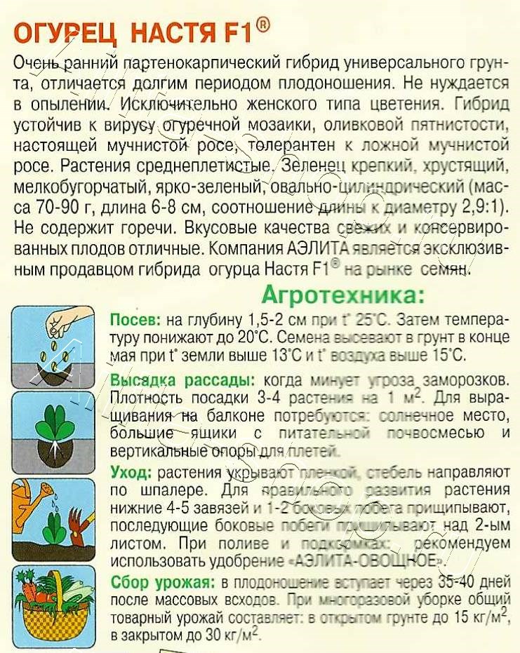 Огурец Настя F1 10шт