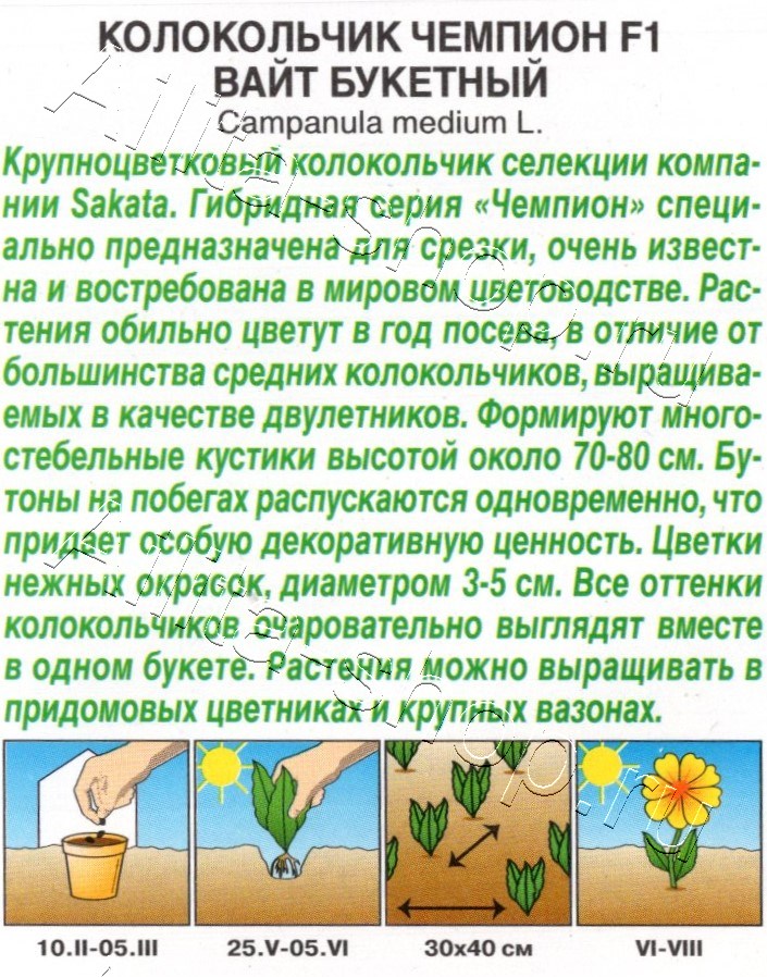 Колокольчик Чемпион F1 вайт букетный 4шт